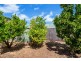 48 Beaconsfield Terrace, Ascot Park SA 5043