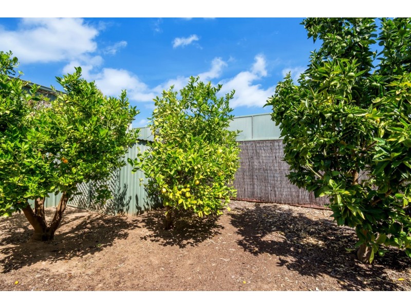 48 Beaconsfield Terrace, Ascot Park SA 5043