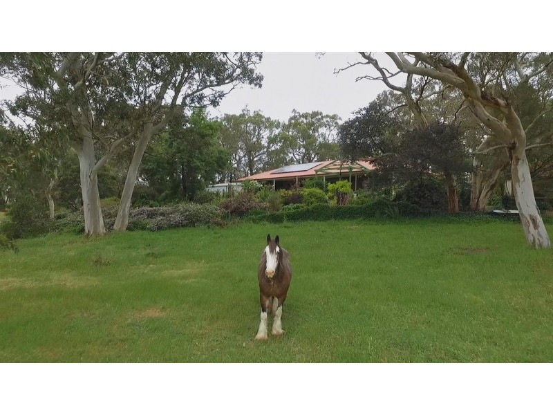 66 Verrall Road, Hope Forest SA 5172