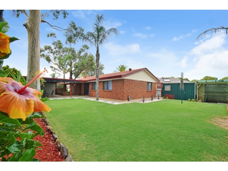 14 McCarthy Avenue, Morphett Vale SA 5162