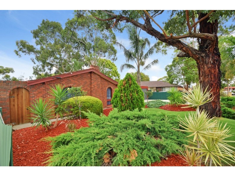 14 McCarthy Avenue, Morphett Vale SA 5162