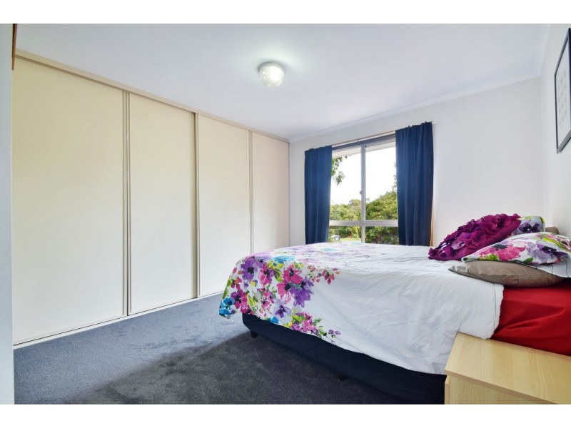 12 Young Street, Trott Park SA 5158