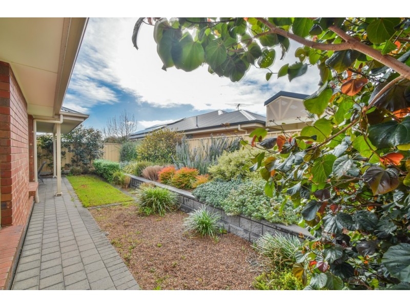 64 Navigation Street, Seaford Meadows SA 5169