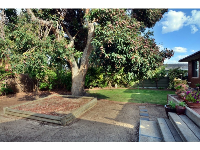 28 Hamilton Crescent, Aberfoyle Park SA 5159