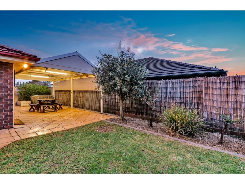 19 Mawson Circuit, Woodcroft SA 5162