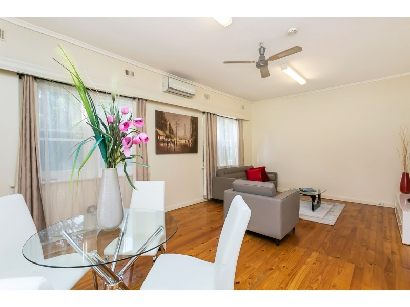 58 Furness Avenue, Edwardstown SA 5039