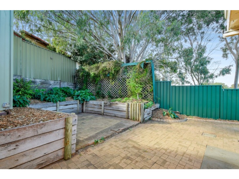 64 Teusner Drive, Morphett Vale SA 5162