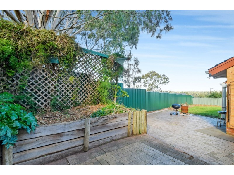 64 Teusner Drive, Morphett Vale SA 5162