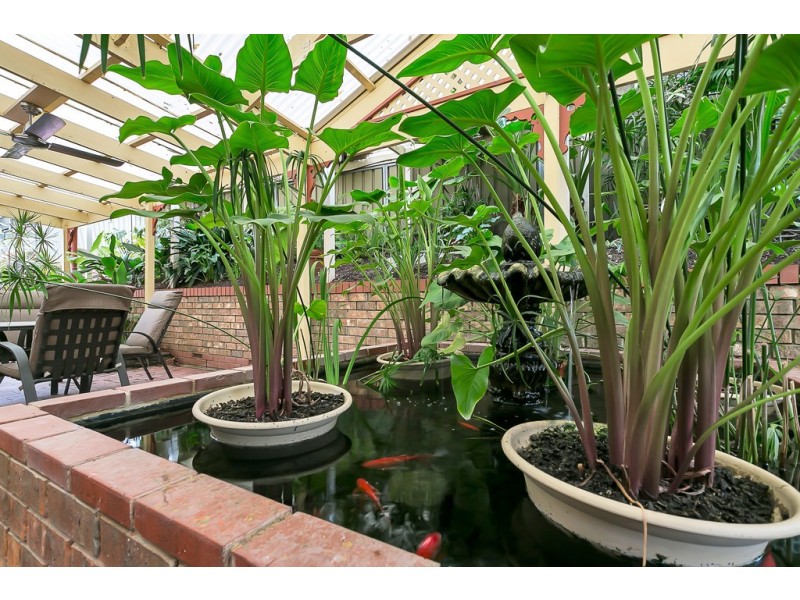 7 Grassdale Rise, Aberfoyle Park SA 5159