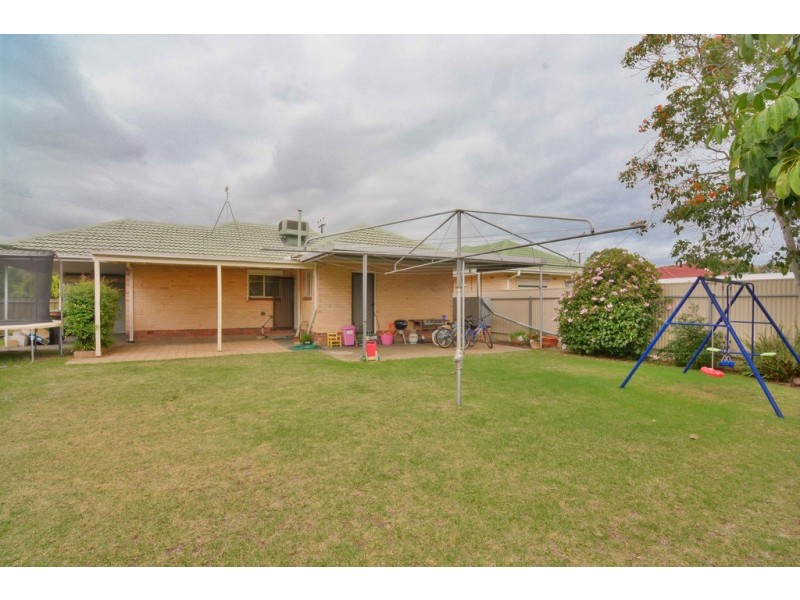 12 Clyde Street, Marion SA 5043