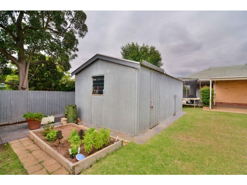 12 Clyde Street, Marion SA 5043