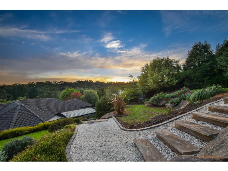 24 Meadowvale Road, Coromandel Valley SA 5051