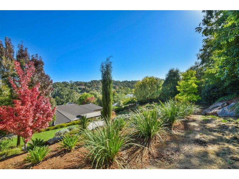 24 Meadowvale Road, Coromandel Valley SA 5051