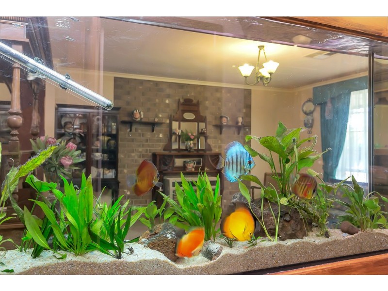 71 Fraser Avenue, Happy Valley SA 5159