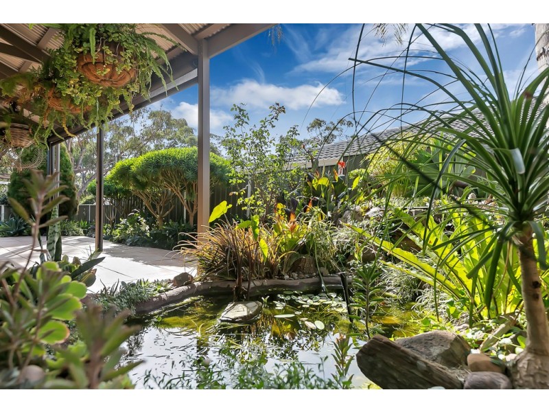 71 Fraser Avenue, Happy Valley SA 5159