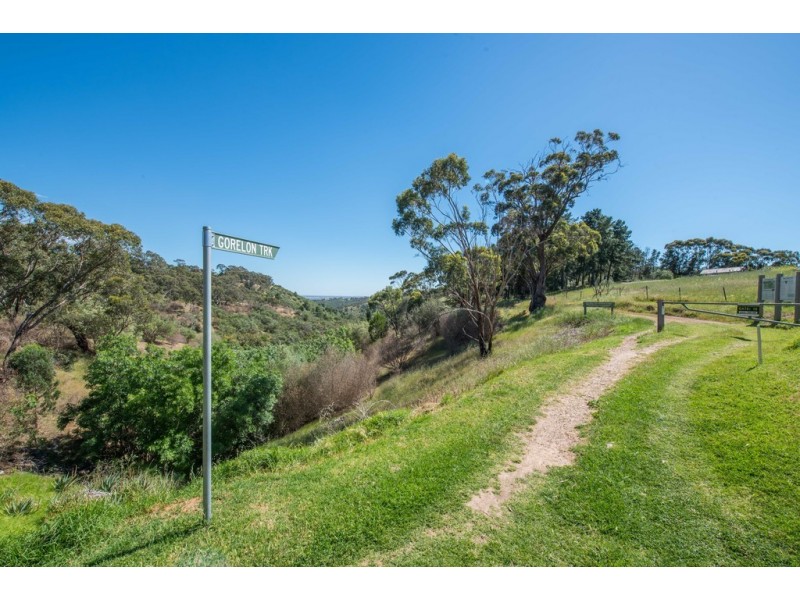 21a Gorelon Drive, Flagstaff Hill SA 5159