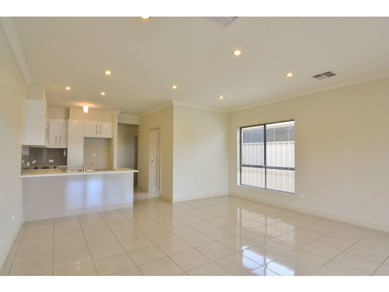 9 Lawson Avenue, Morphettville SA 5043