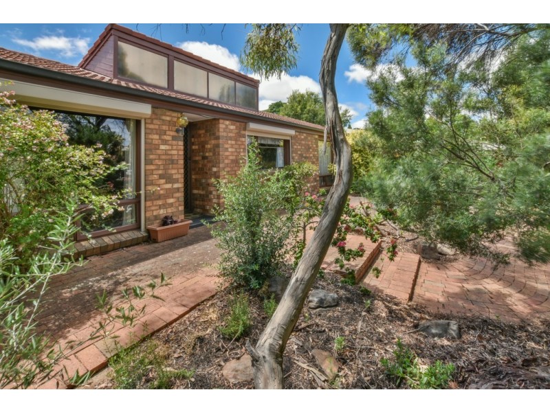 14 Barramundi Drive, Hallett Cove SA 5158