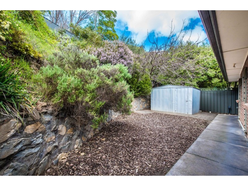 3 River Glen Place, Flagstaff Hill SA 5159