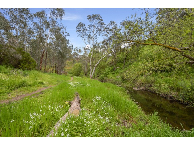 3 River Glen Place, Flagstaff Hill SA 5159