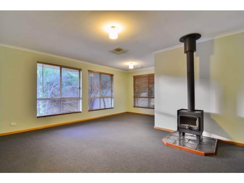 10 Fig Tree Lane, Aberfoyle Park SA 5159