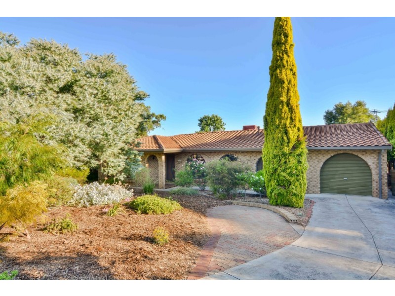 11 Proctor Street, Flagstaff Hill SA 5159