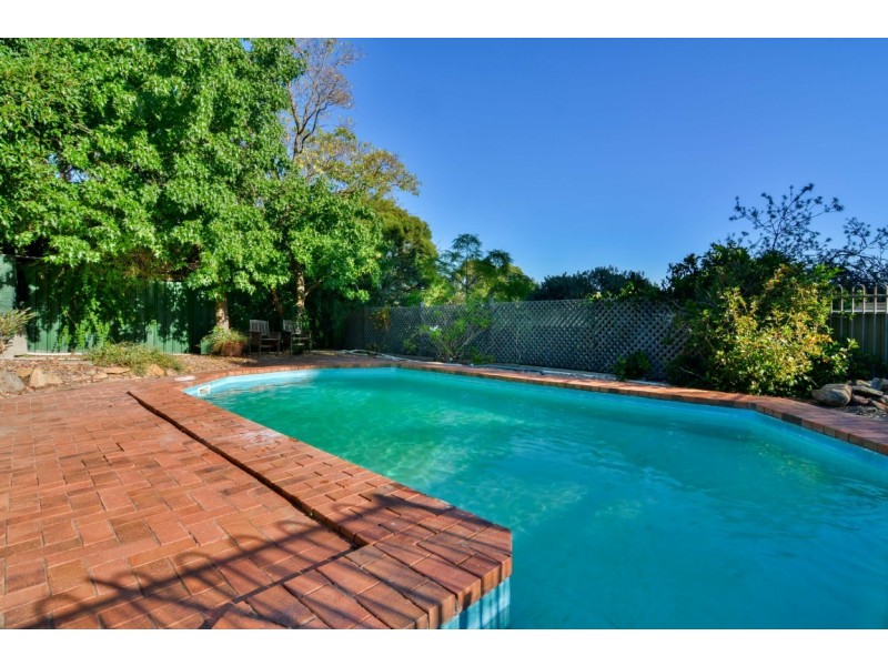 11 Proctor Street, Flagstaff Hill SA 5159