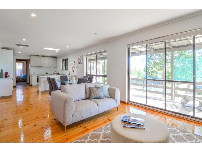 11 Proctor Street, Flagstaff Hill SA 5159