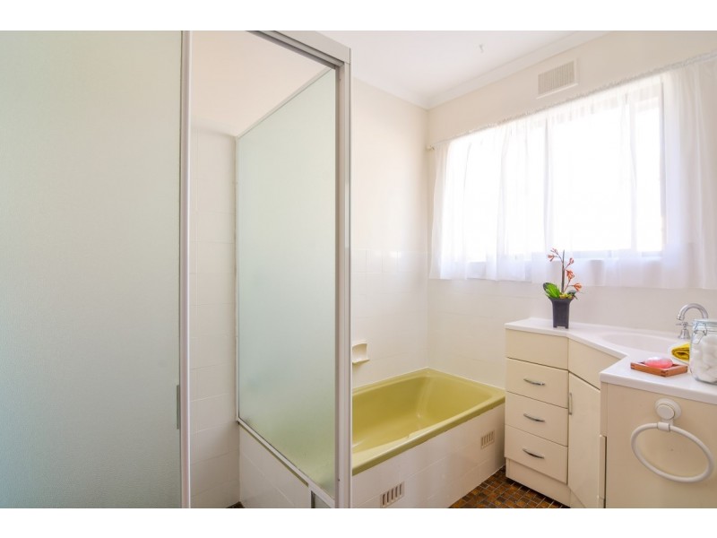 11 Proctor Street, Flagstaff Hill SA 5159