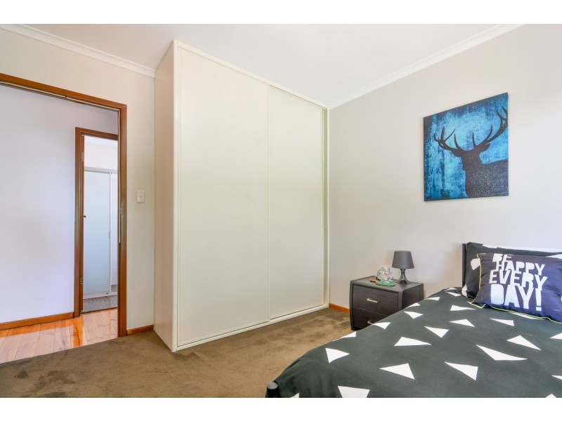 11 Proctor Street, Flagstaff Hill SA 5159