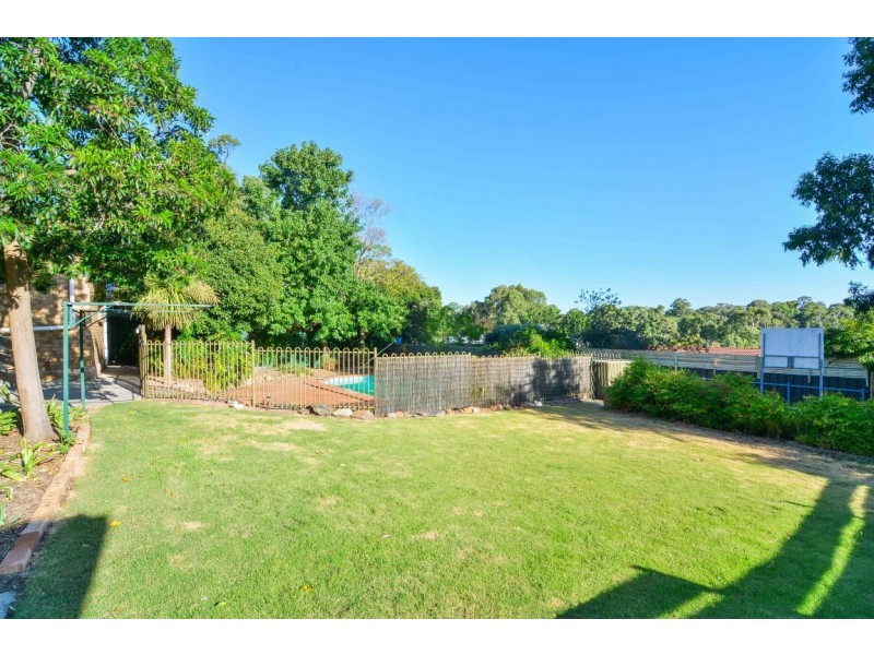 11 Proctor Street, Flagstaff Hill SA 5159