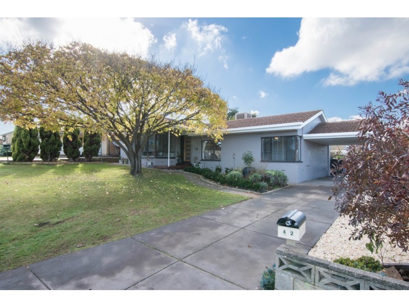 42 Suzanne Avenue, Morphett Vale SA 5162