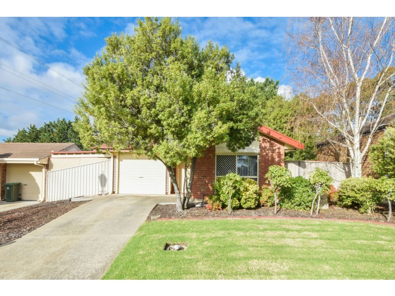 11 Gino Close, Flagstaff Hill SA 5159