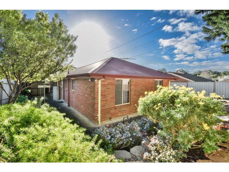 11 Gino Close, Flagstaff Hill SA 5159