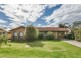 29 Oliphant Avenue, Marion SA 5043