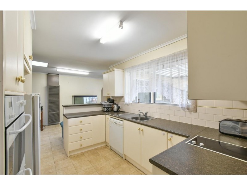 29 Oliphant Avenue, Marion SA 5043