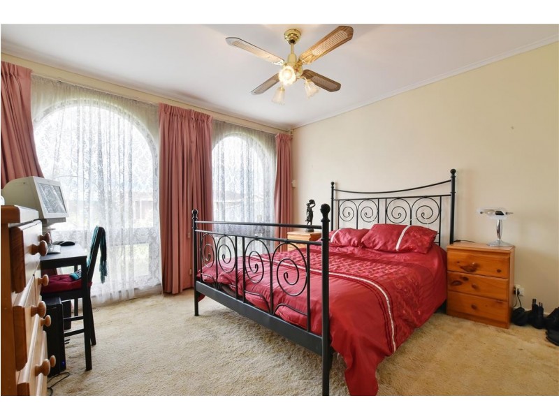 29 Oliphant Avenue, Marion SA 5043