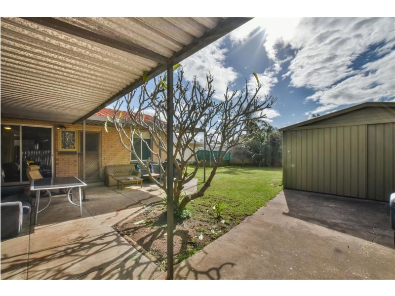 29 Oliphant Avenue, Marion SA 5043
