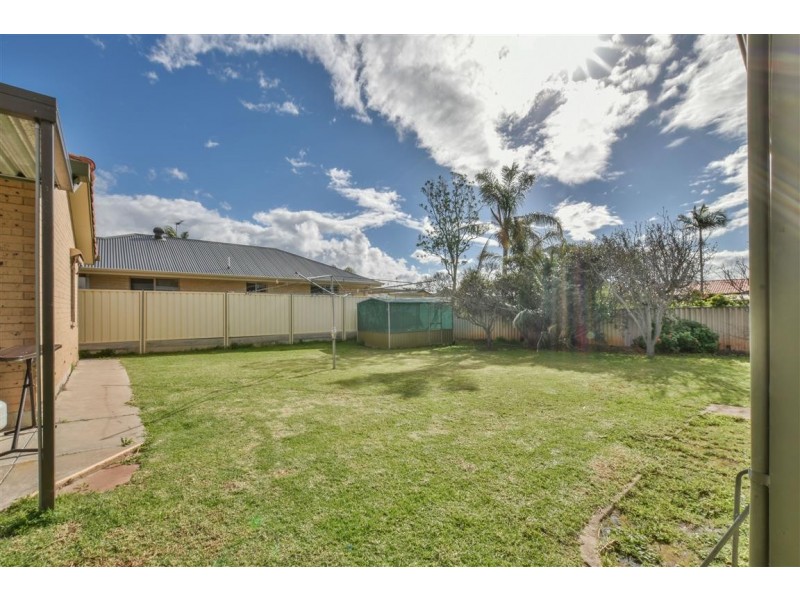 29 Oliphant Avenue, Marion SA 5043
