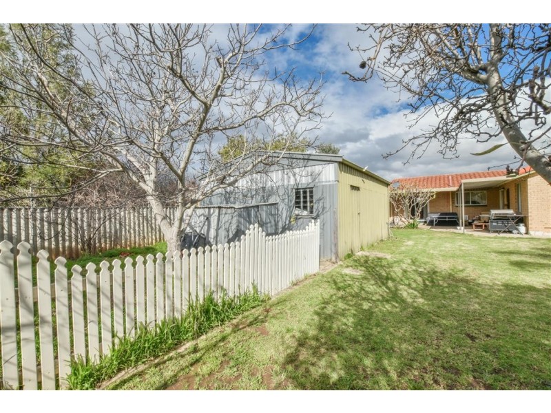 29 Oliphant Avenue, Marion SA 5043