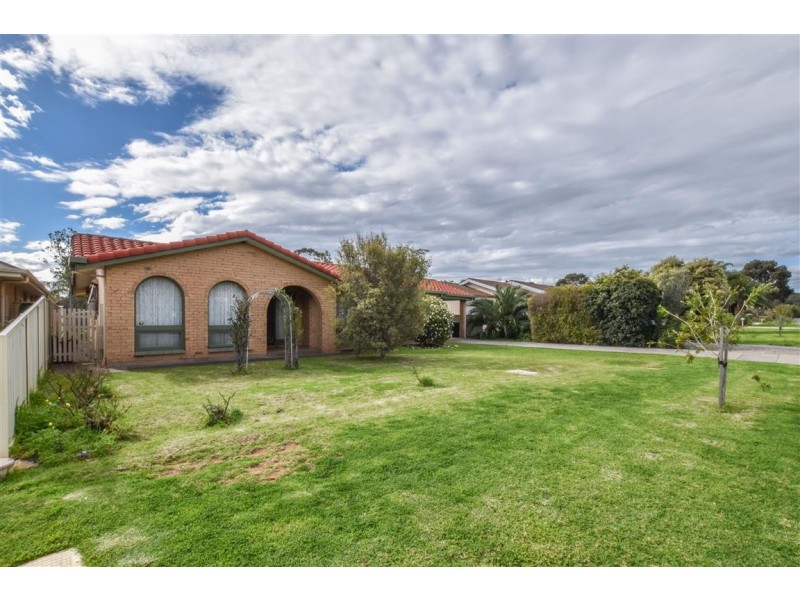 29 Oliphant Avenue, Marion SA 5043