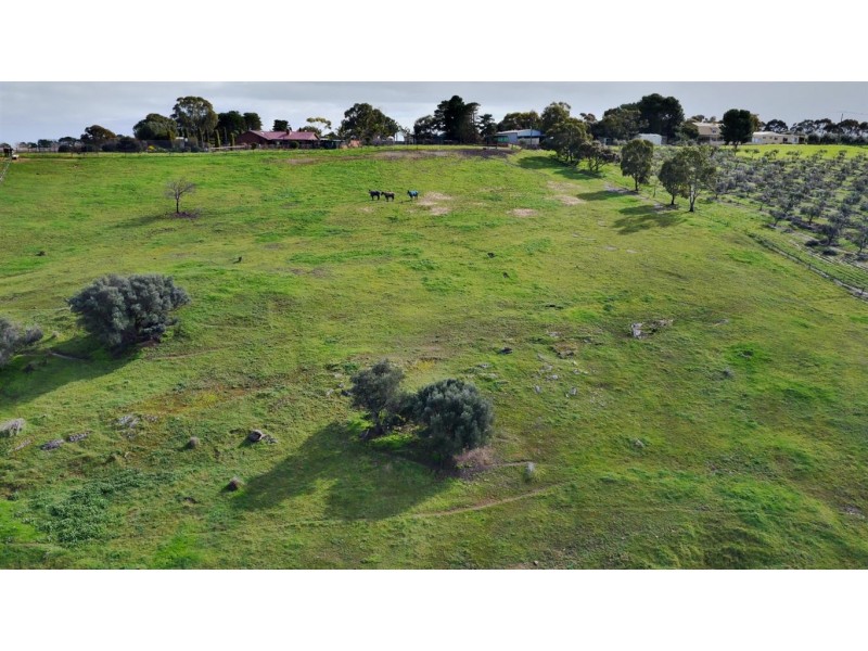 91 Hagley Road, Mclaren Vale SA 5171