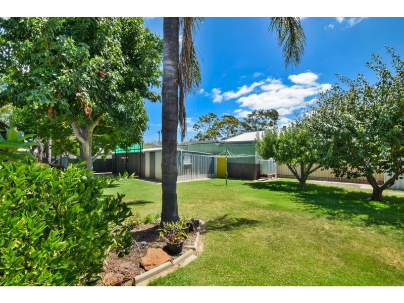 21 Bowden Grove, Oaklands Park SA 5046