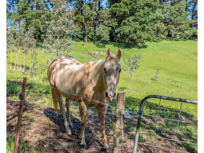 336 Pennys Hill Road, The Range SA 5172