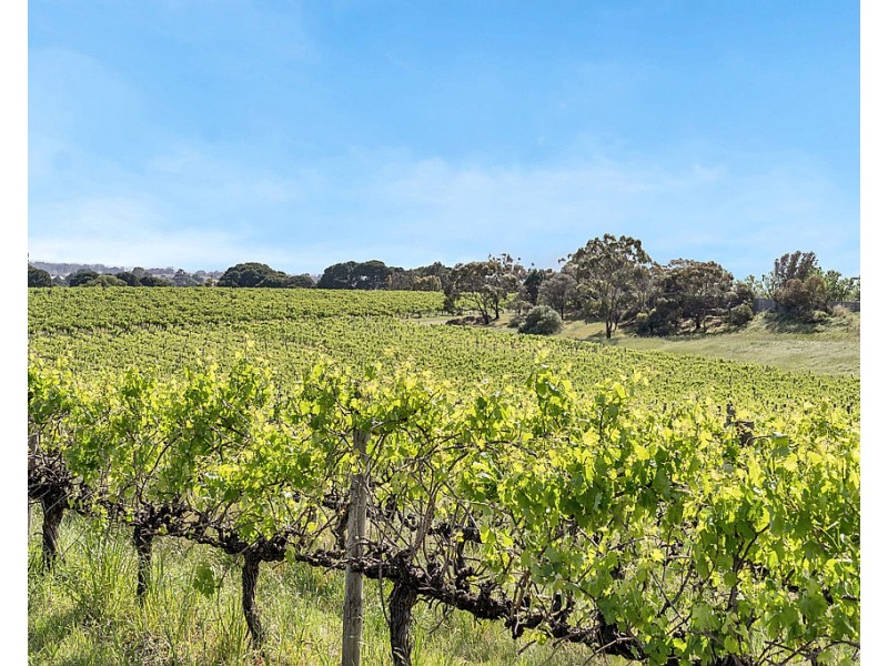 4 Delilah Close, Old Reynella SA 5161