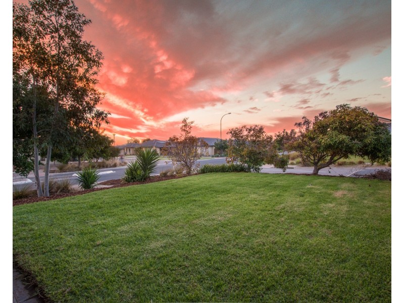 23 Casuarina Avenue, Aldinga Beach SA 5173