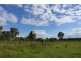 80 Chalk Street, Wulkuraka QLD 4305
