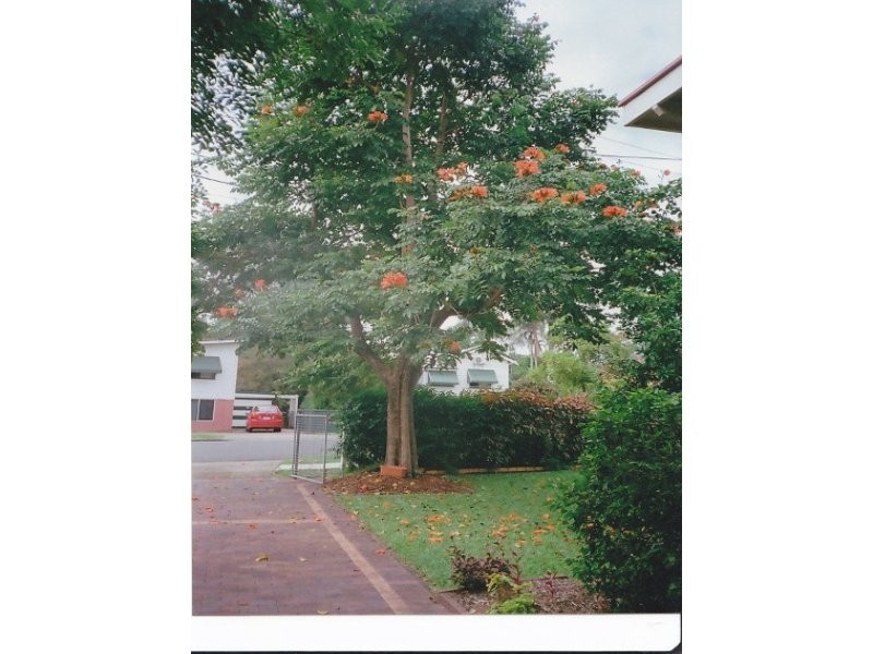 201 Postle Street, Acacia Ridge QLD 4110