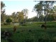 Park Ridge South QLD 4125