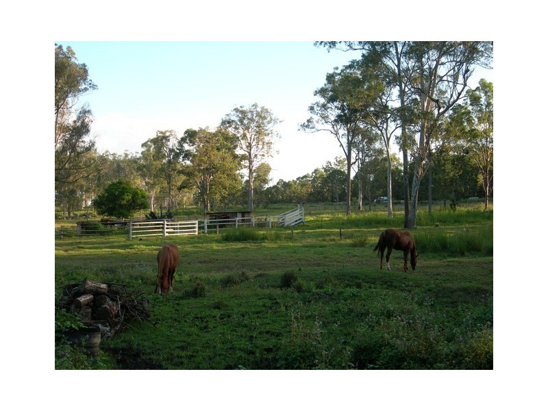 Park Ridge South QLD 4125